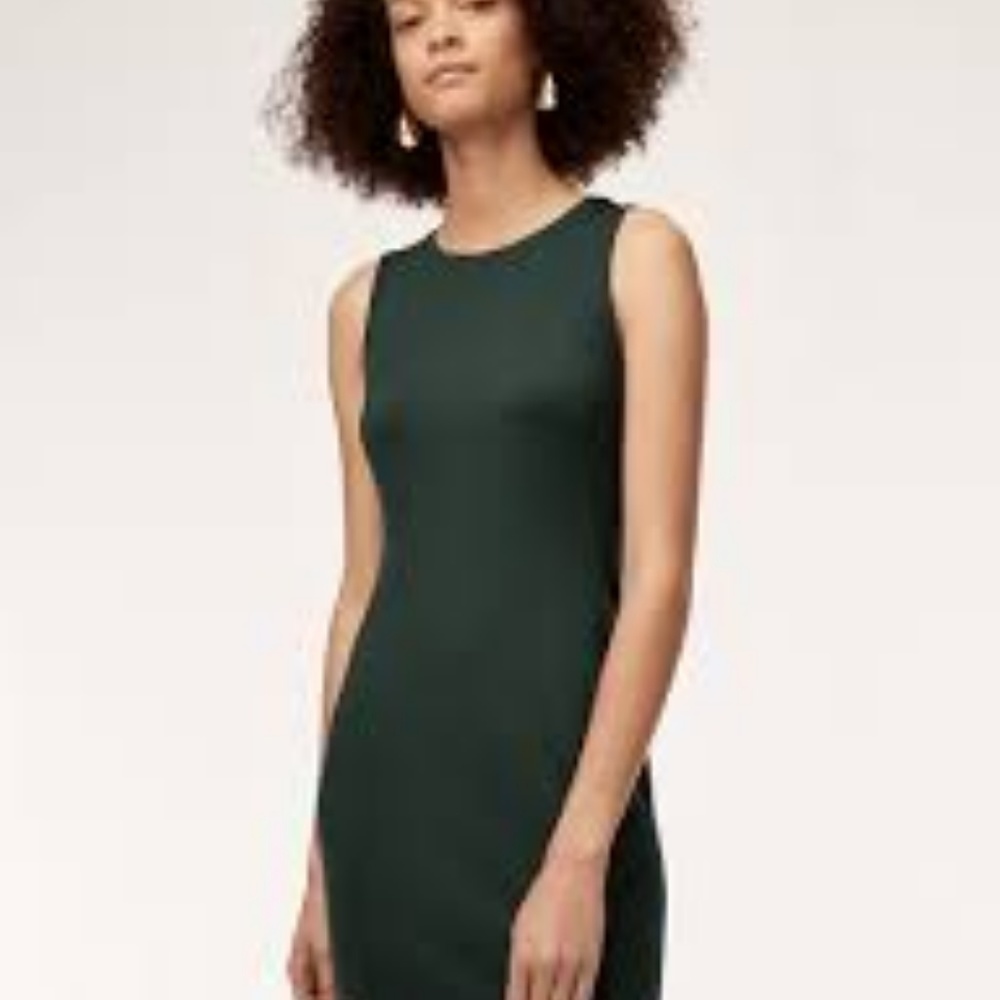 NWT Aritzia Babaton Miguel dress- beige